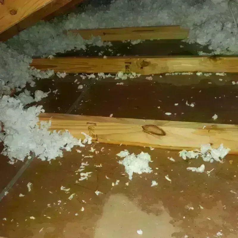 Attic Water Damage in Ridgecrest, CA